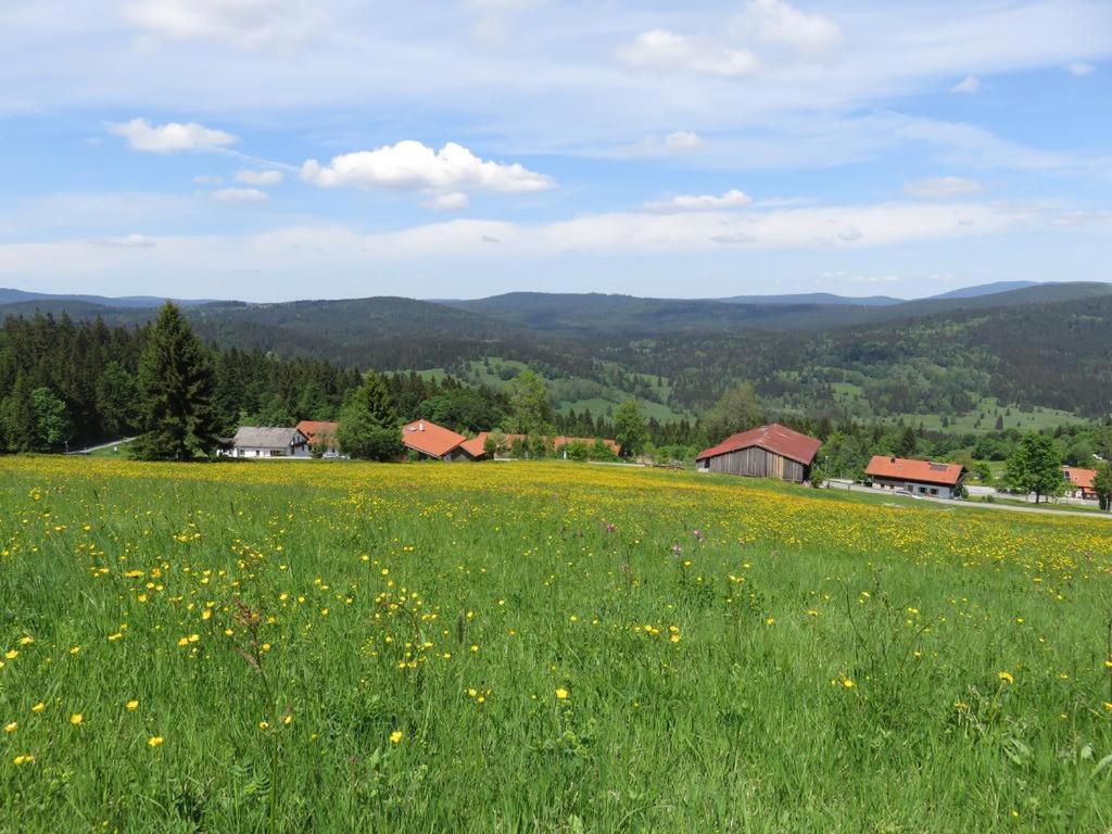2 Zimmer Mitterdorf Philippsreut Exterior foto